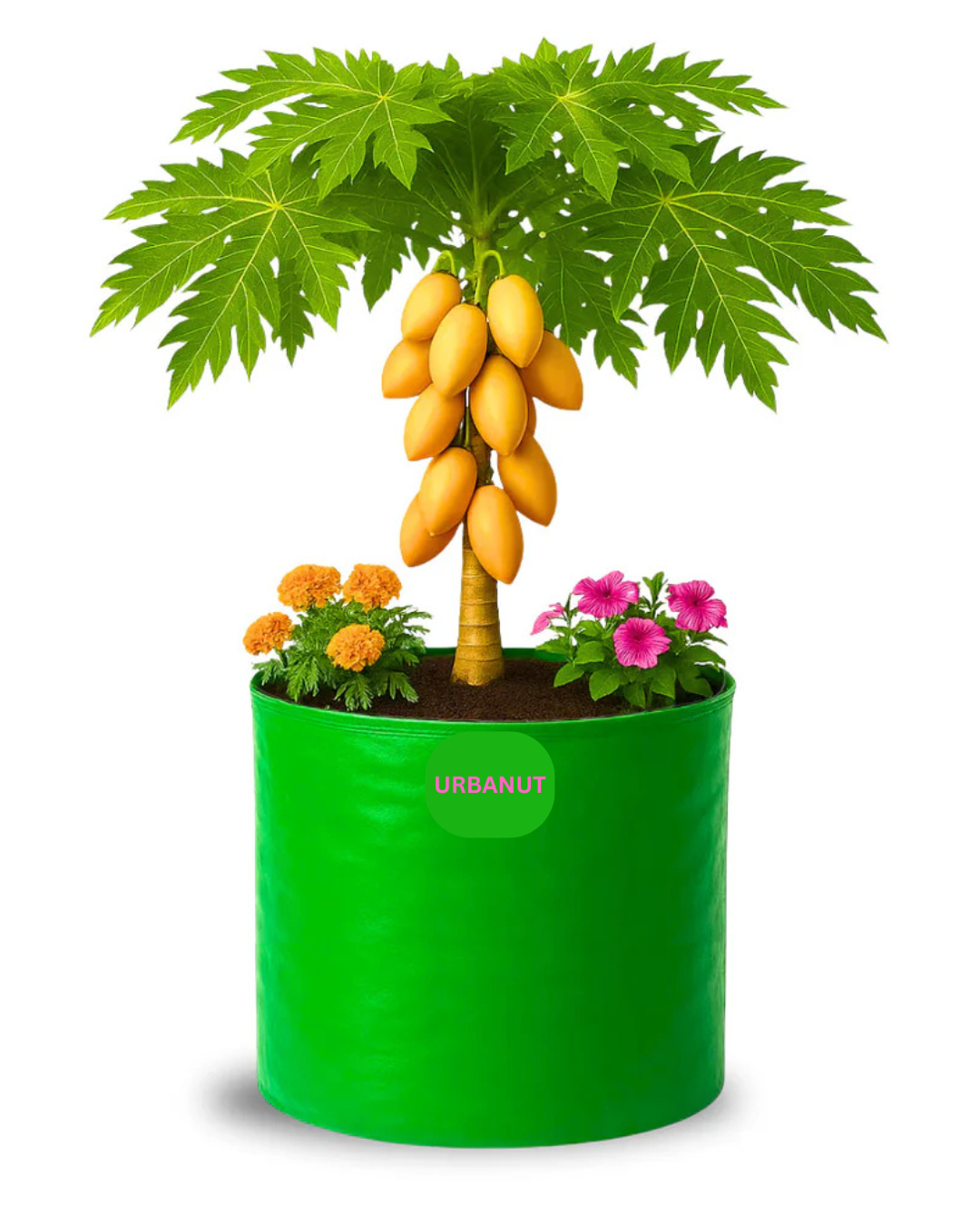 12Γ12 HDPE Round Grow Bag β Premium Quality 12Γ12 HDPE Round Grow Bag β Premium Quality